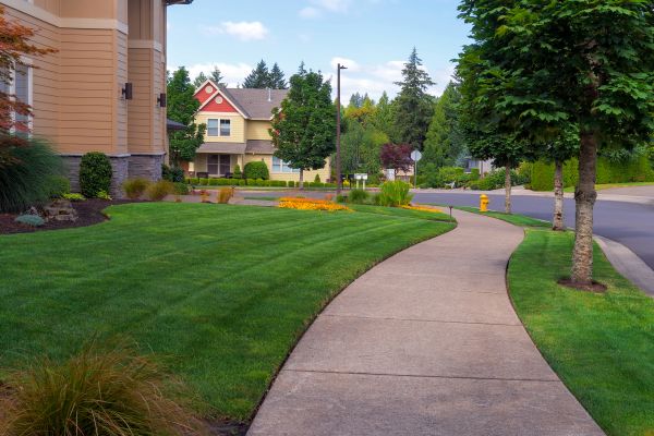 Sidewalk Patching in Springfield