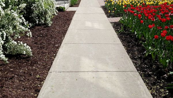 Concrete Pathway Repair in Springfield